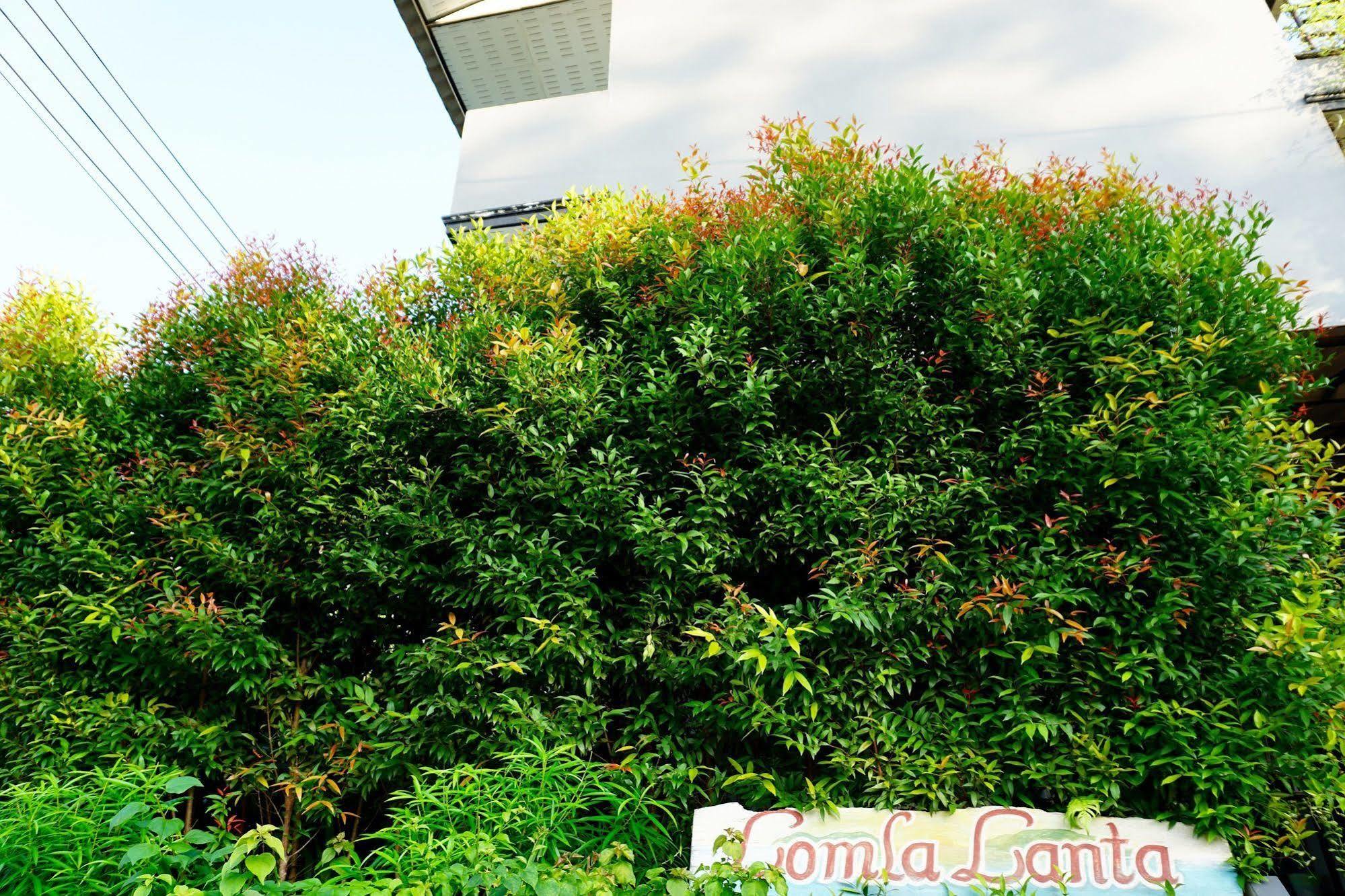 Lom La Lanta Hotel Koh Lanta Ngoại thất bức ảnh